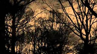 Sonic Thunder - Hell and Back