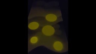 Солнечный экран для Шоу световых картин