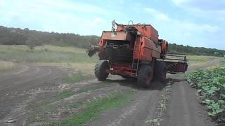 Комбайн ДОН-1500. с.Дмитровка.