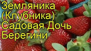 Земляника альпийская Дочь Берегини. Краткий обзор, описание характеристик, где купить саженцы