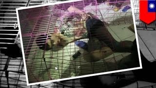 Парень приковал себя наручниками к собачьей клетке