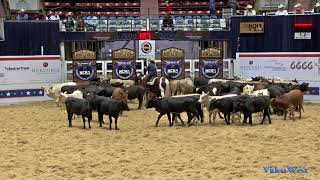 2018 NCHA Non-Pro Derby Champion
