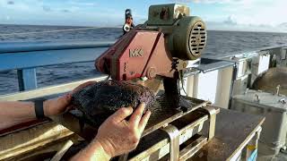 Sampling Ancient Underwater Volcanoes In the Pacific Remote Islands | Nautilus Live