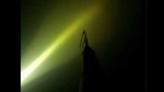 Spearfishing at night