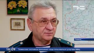 Белый билет легально - это реально?