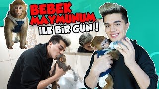 BEBEK MAYMUN SAHİPLENDİM ! BİR GÜNLÜK RUTİNİMİZ.