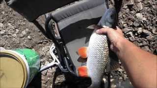 Ловля голавля маховой удочкой на пшеницу. Рыбалка в Самаре. Fishing rod float