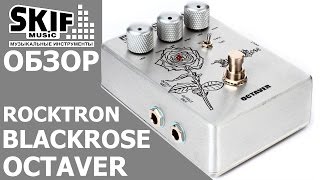 Обзор педали Rocktron Black Rose Octaver | SKIFMUSIC.RU