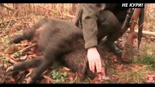 Загонная охота на копытных в Белоруссии. Тест ножей . 2018