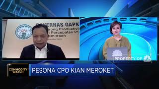 Permintaan Naik & Produksi Turun, Harga CPO Dalam Tren Bullish