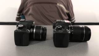 T1i and T3i
