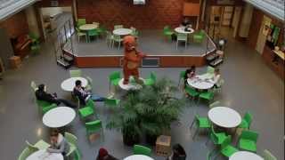The Harlem Shake - Elevkåren @ DLG
