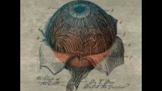 The Shape Of The Earth- Alone In This