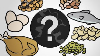 Proteins: Explained