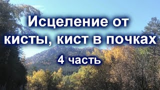 БОЖЕСТВЕННОЕ ИСЦЕЛЕНИЕ ОТ ПОЛИКИСТОЗА ПОЧЕК 4 часть Сытин Г.Н.