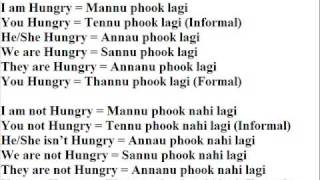 Verbs in Punjabi