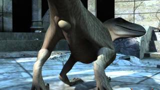 raptor egg