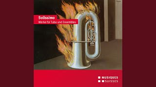 Tuba Concerto, Op. 139 (version for tuba and brass band) : I. Depths