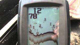 Humminbird PiranhaMAX 170  8-30-11