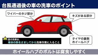 車の裏も要注意！台風通過後に気をつけたい車の塩害対策