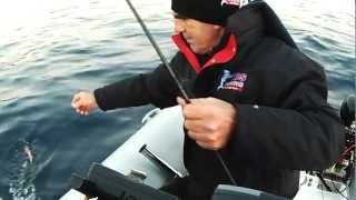 squid ΚΑΛΑΜΑΡΙΑ ΚΑΙ Η ΑΡΜΑΤΩΣΙΑ sotos fishing