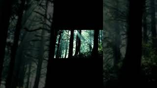 Boulevard Of Broken Dreams - Treat you betther  (wiliamsmith)-(new edition)-(zonareaptorzombiie)
