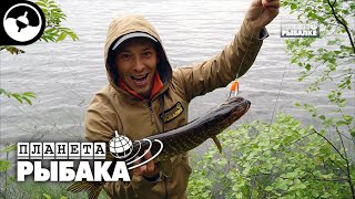 ЩУКА на вертушку. Баня по-черному. Тест армейского вездехода | ПЛАНЕТА РЫБАКА. ©