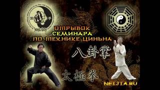 Отрывок семинара по циньна