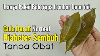 SEBELUM OBATKIMIA MENGGEROGOTI ORGAN YANG LAIN, SAATNYA MELIRIK UBAT PEMBERIAN TUHAN INI