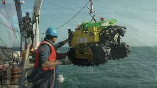Connecting Wally! | Nautilus Live