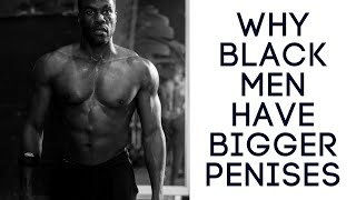 Why black men have bigger penises