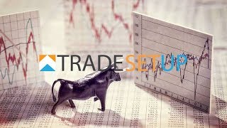 The Bulls are still setting the tone...Live Stream 20/01/20