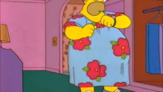 Simpsonovi S07E07 Homer nej hláška