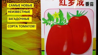 Какие редкие коллекционные томаты - новинки я буду сеять в этом году?