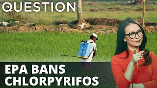 EPA announces ban on pesticides toxic to children & farmworkers