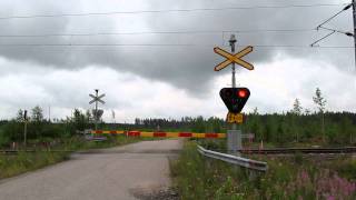 Freight train T 2181 passed Ilmee (Km 0360+0084) level crossing in