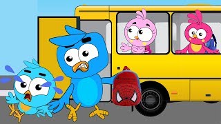 Birds Family Babies Lazy to School Funny Pranks Collection??