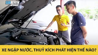 Cách nhận biết xe ô tô NGẬP NƯỚC, THUỶ KÍCH - Những BÍ KÍP cơ bản khi mua ô tô cũ |Autodaily,vn|