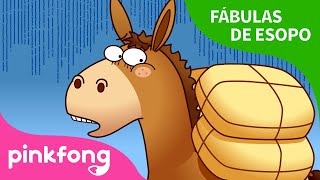 El Burro y la Sal | Fábulas de Esopo | Pinkfong Cuentos Infantiles