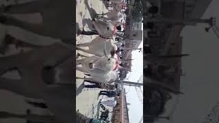 Siddaganga cattle fair