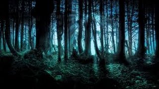 LPS-/Horror/ Sebevražedný Les #1