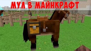 Мул в Майнкрафт, где найти, как получить