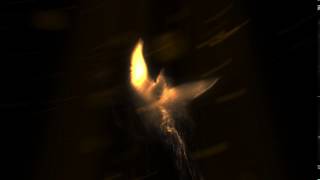 Футаж / Footage 2017 Phoenix Reveal