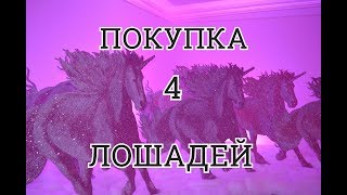 МЕГА-ПОКУПКА 4 ЛОШАДЕЙ!| Star Stable Online|