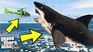 МЕГАЛОДОН ВЫЖИЛ! НАШЁЛ САМУЮ БОЛЬШУЮ АКУЛУ ГТА 5 МОДЫ! ОБЗОР МОДА В GTA 5! ИГРЫ ГТА ВИДЕО MODS