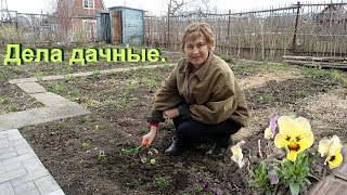 Дачный влог. Весна-не тормози!