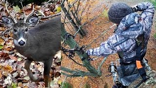 Bowhunting Whitetails