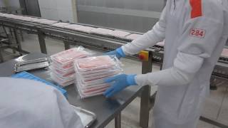 Hệ Thống Băng Tải Inox Cắt Cá Hồi Sushi
