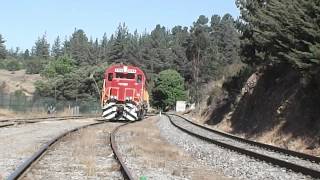 D-3304-BARRANQUINO / D-2302- TECO / MALVILLA