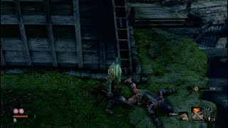 Killing the Shinobi Hunter Enshin of Misen  Sekiro on PS4